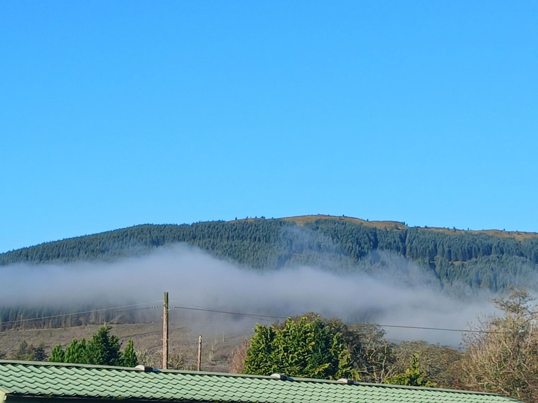 Explore the Cowal Peninsula